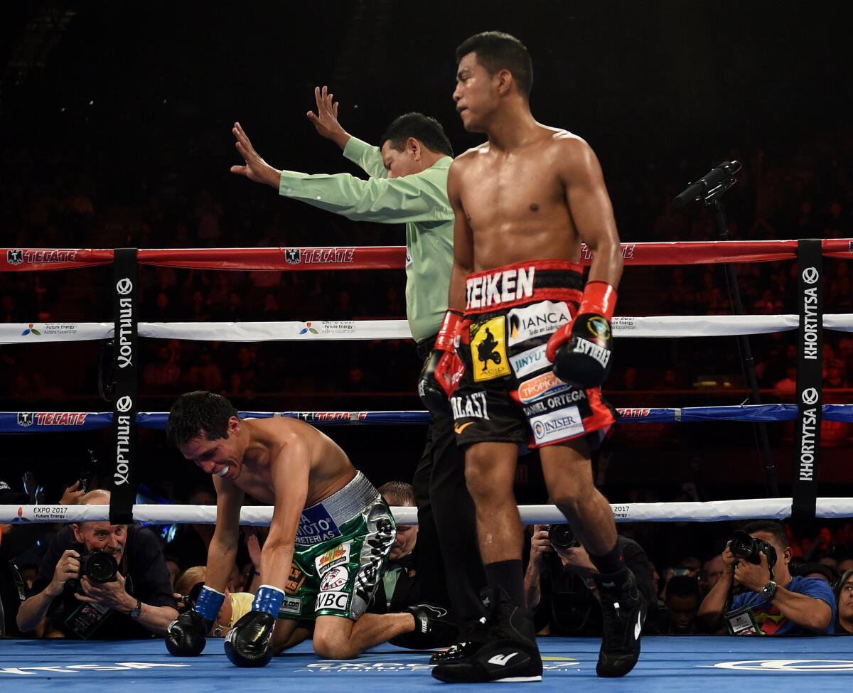 Roman Gonzalez knocks out Edgar Sosa in the second round of their WBC Flyweight World Championship bout on May 16.