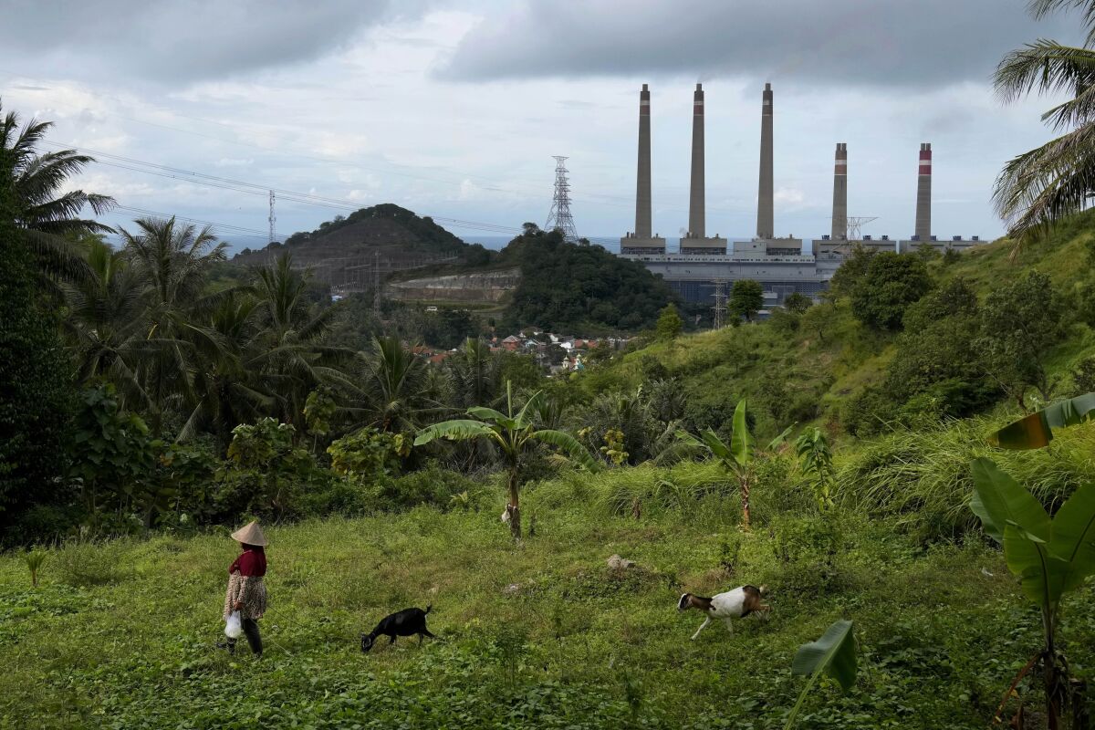 ARCHIVO - Una mujer guía a sus cabras con la planta de carbón de Suralaya al fondo, en Cilegon, Indonesia