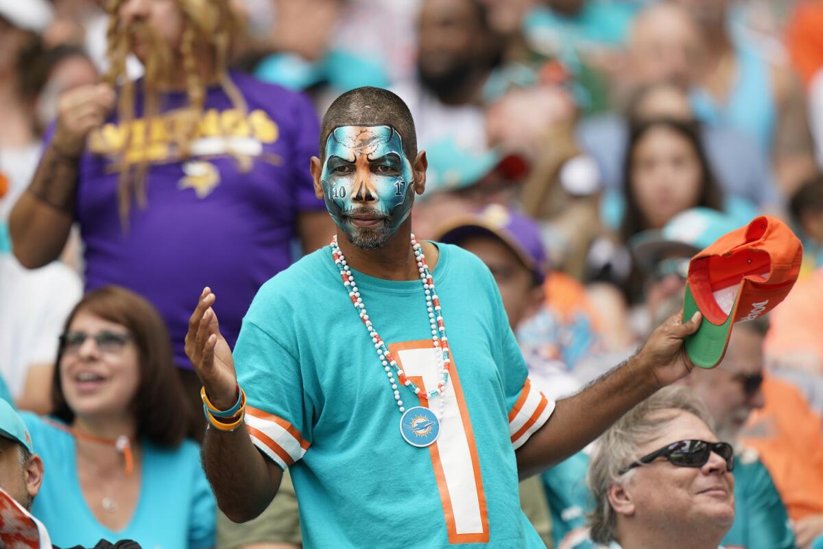 A Miami Dolphins fan watches from the stands during a game against the Minnesota Vikings.