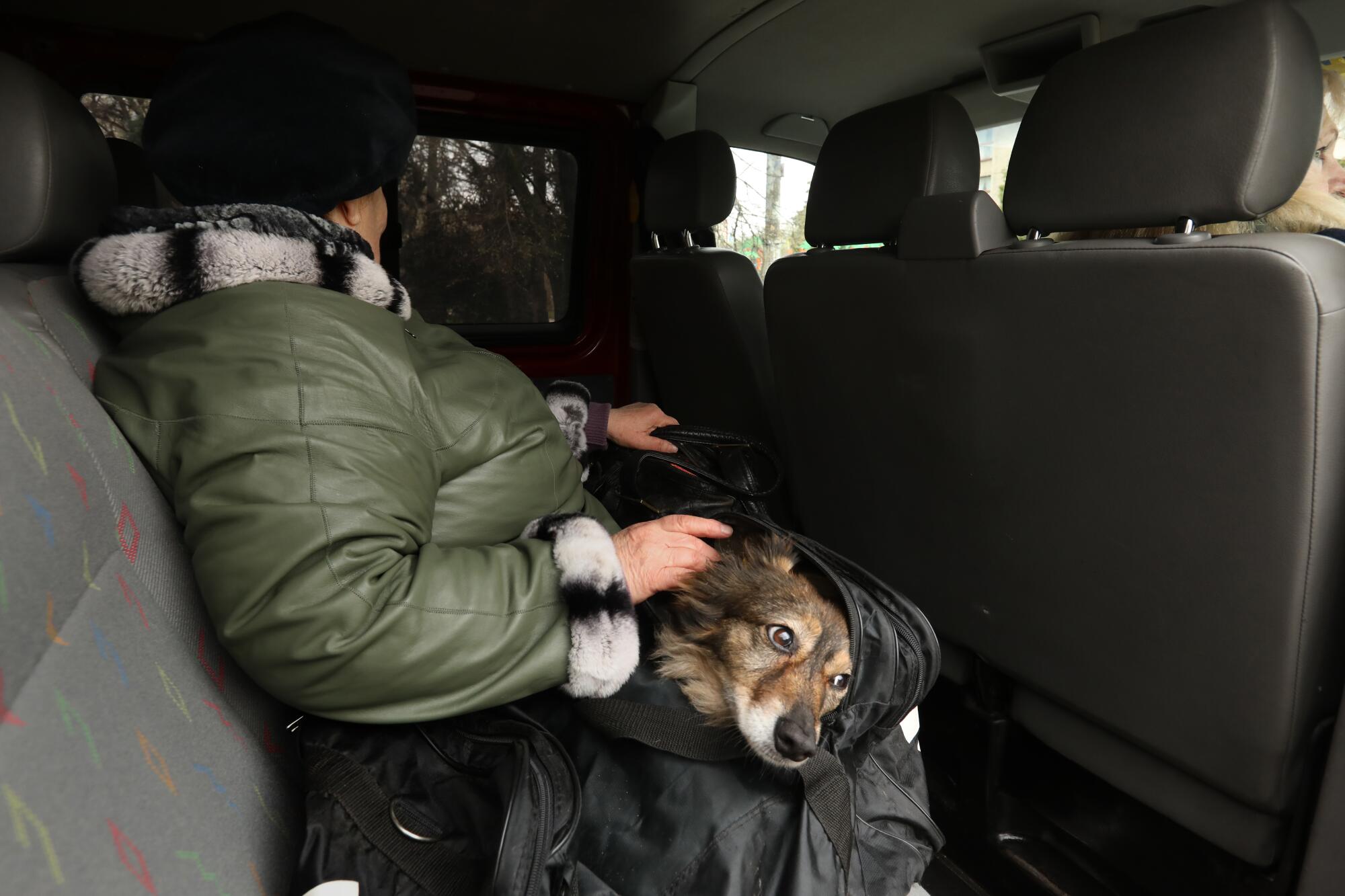 Lyudmilla Botkovskaya leaves Slavyansk with her dog in a duffle bag.