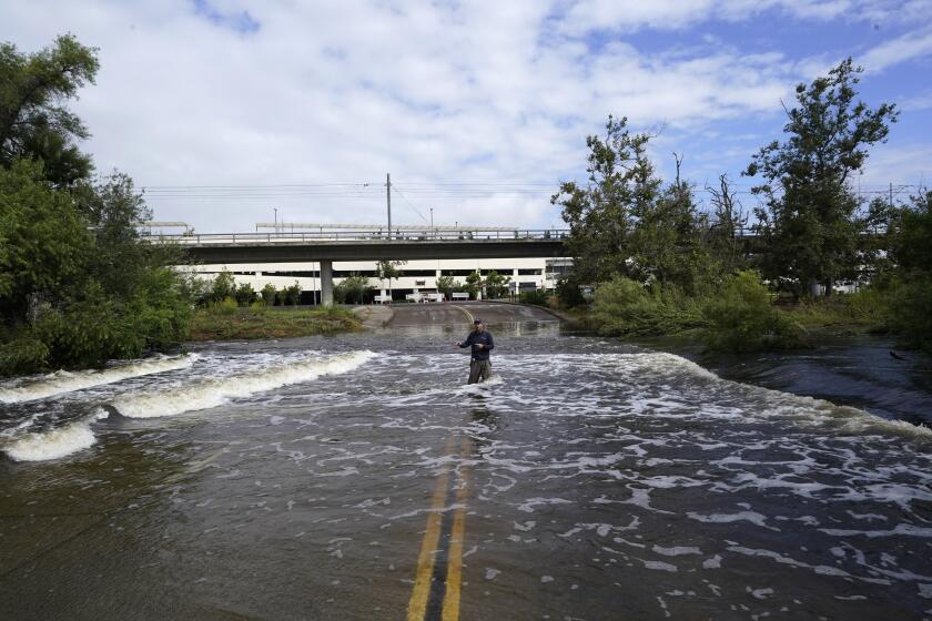 essay about yourself in pandemic A television reporter stands in a flooded road after the passing of Tropical Storm Hilary, Monday, Aug. 21, 2023, in San Diego. (AP Photo/Gregory Bull)