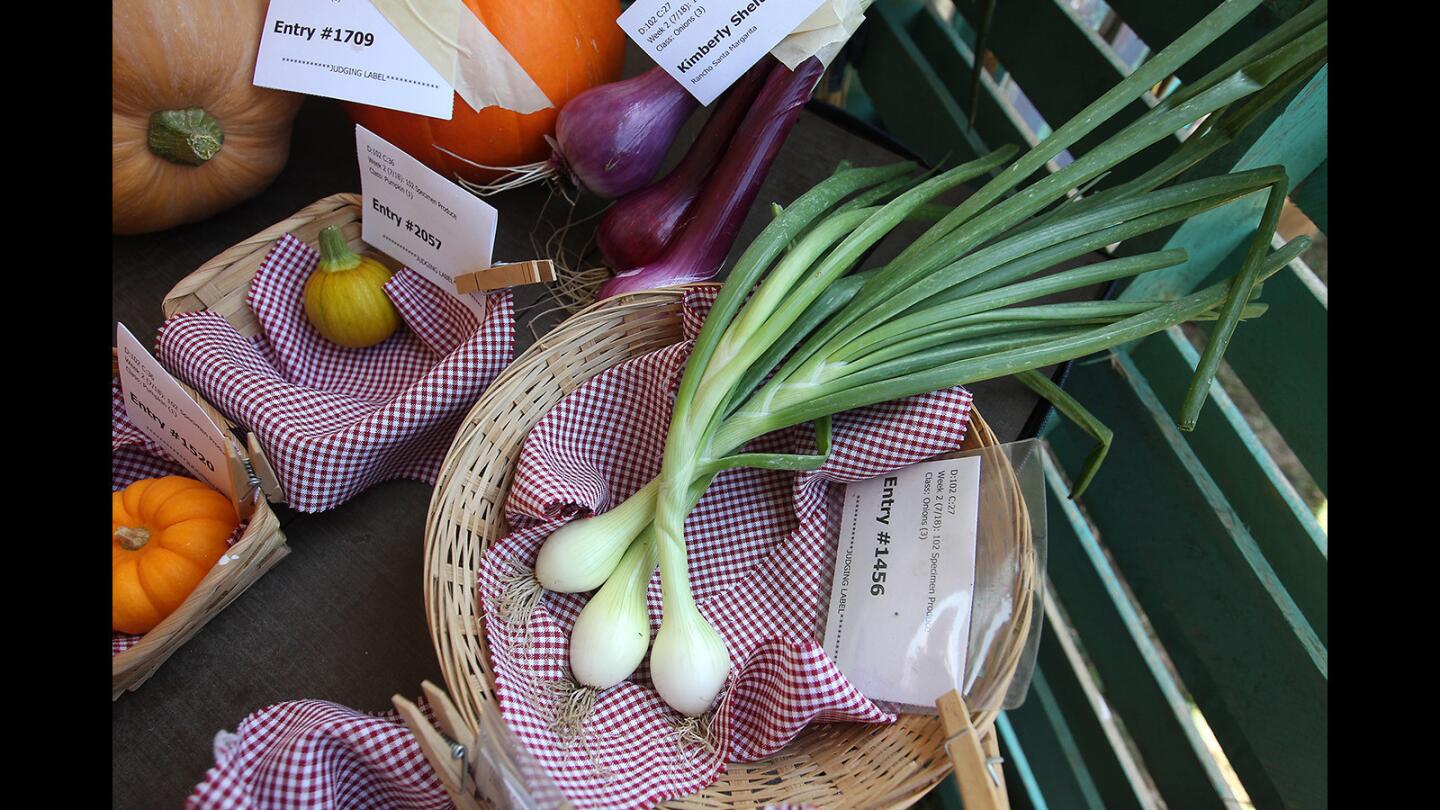 Judgment Day for produce at OC Fair