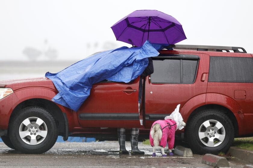 A woman gets into her car after taking her dog for a walk in Mission Bay Park on Monday, February 5, 2024.