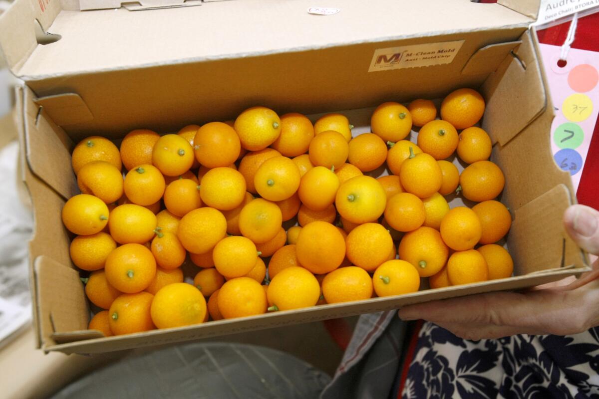 The Burbank Tournament of Roses Assn. received generous donations of kumquats to decorate their float, after their vendor told them they had run out of the small citrus fruits.