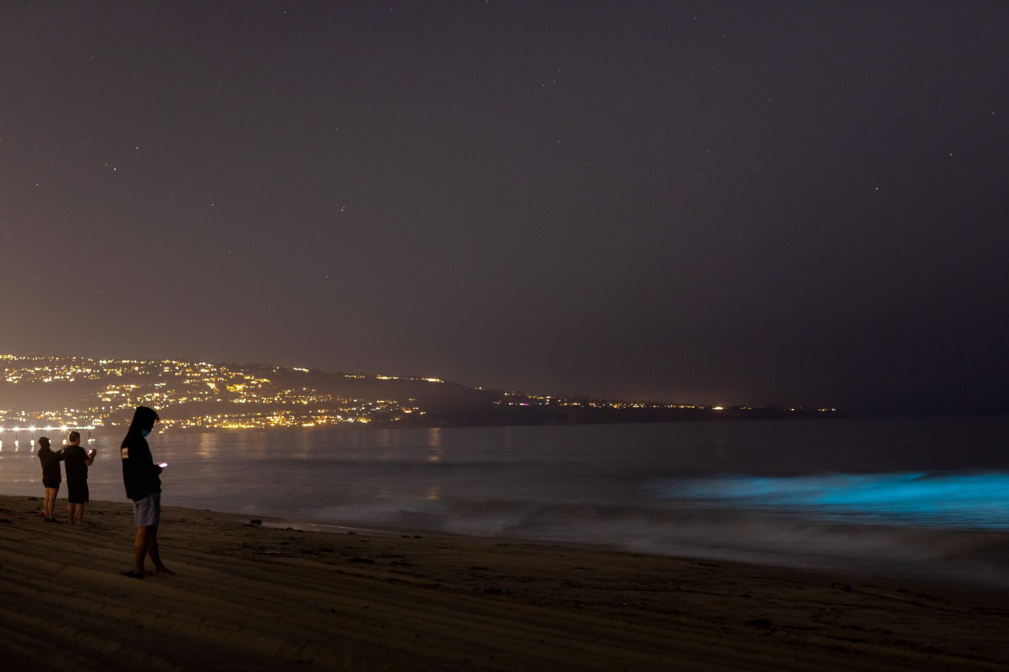 Bioluminescent waves glow off the coast of Hermosa Beach
