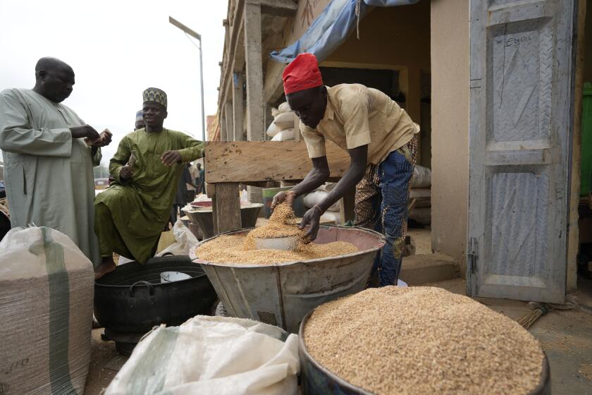 FILE - A man sells grain in Dawanau International Market in Kano, Nigeria on July 14, 2023. Many poor countries in Africa face the harshest effects of climate change: severe droughts, vicious heat and dry land, but also unpredictable rain and devastating flooding. The shocks worsen conflict and upend livelihoods because many people are farmers — work that is increasingly vulnerable to a warming world. (AP Photo/Sunday Alamba, File)