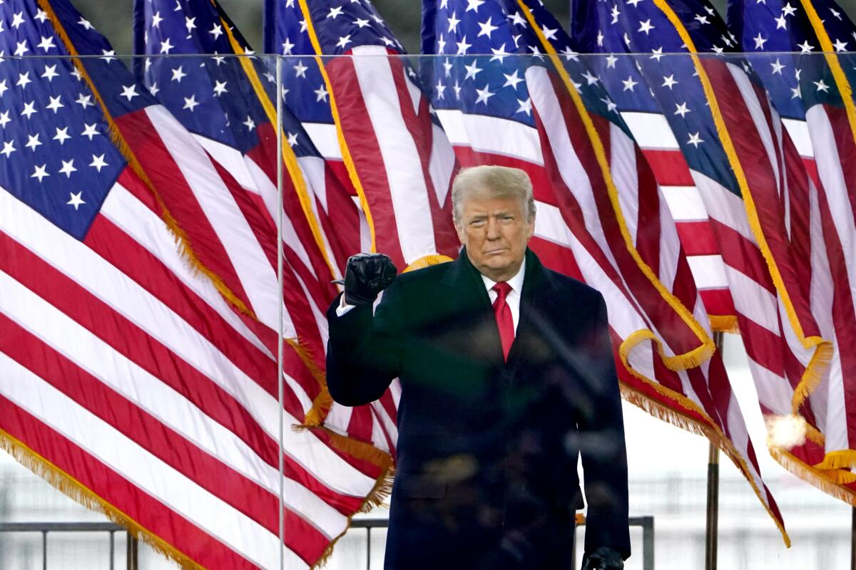President Trump in front of American flags