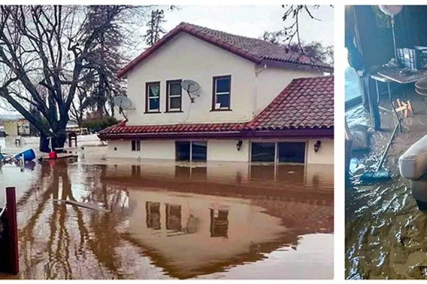 Las intensas lluvias ocurridas, entre diciembre y enero, en el área central de California, han dejado como resultado dolor y pérdida en la comunidad agrícola.