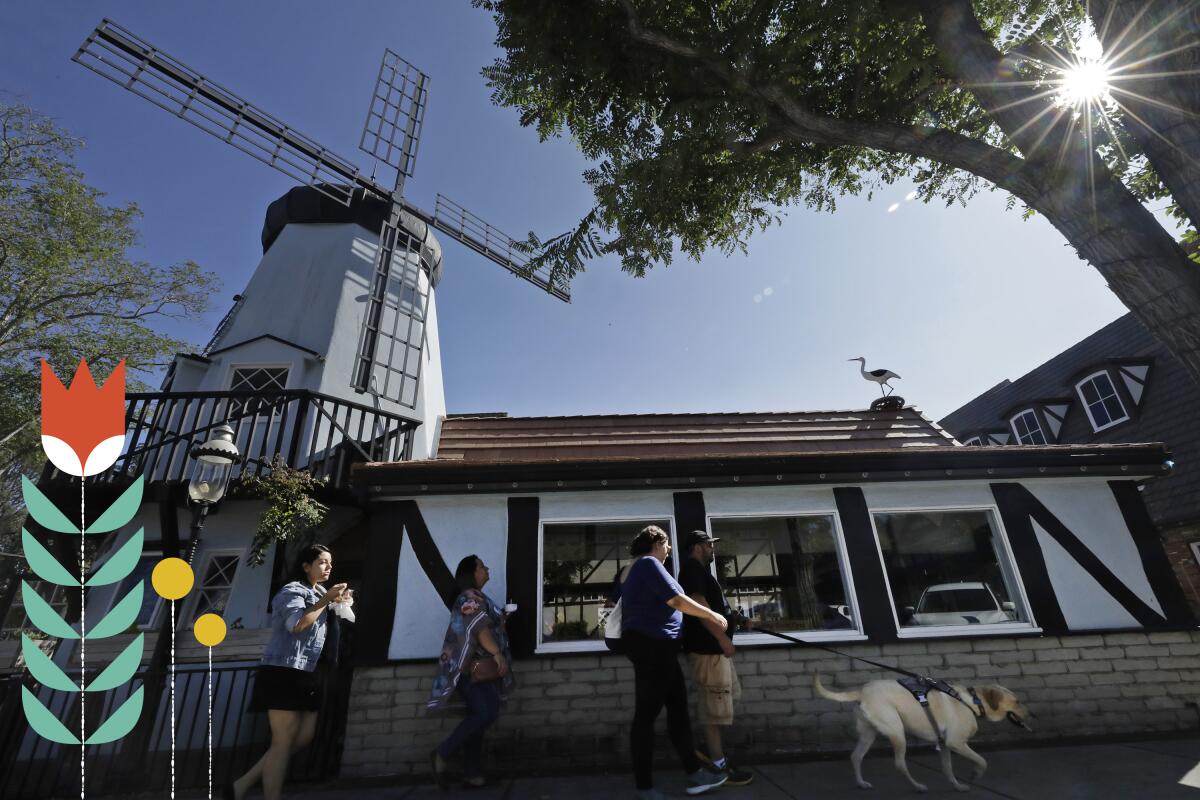 People walk in front of a half-timbered building with a windmill. An illustration of flowers is in the foreground.