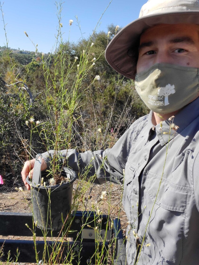 Tony Gurnoe, San Diego Botanic Garden's director of conservation Horticulture