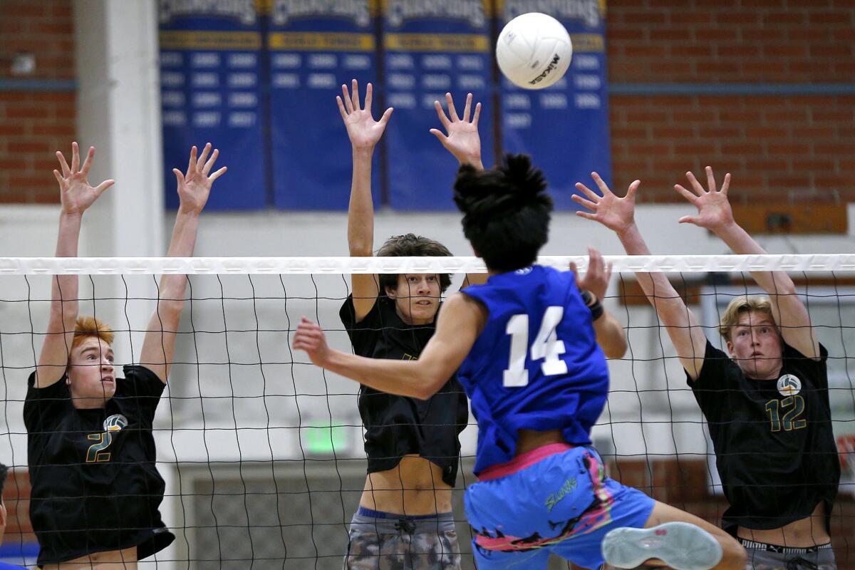 Fountain Valley's Joseph Nguyen (14) pokes the ball over Edison's Noah Nelson, Emerson Evans and Ben Winokur on Friday.