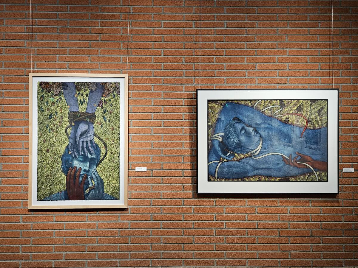 Two drawings of Adam in blue hang on a brick wall. One shows his head below tied wrists and the other him reclining naked.