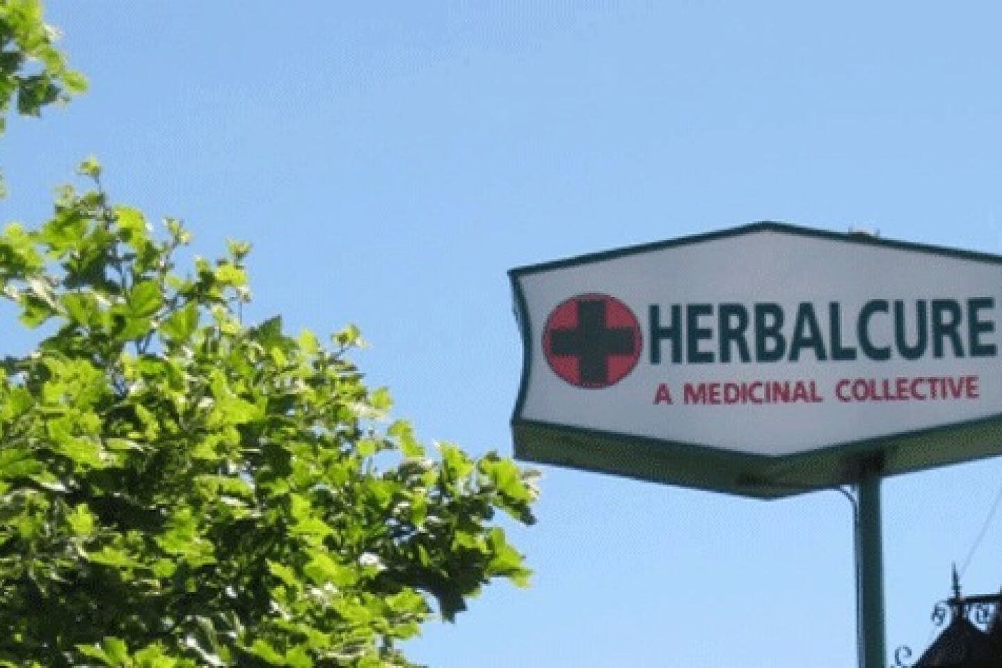 HerbalCure, West Los Angeles