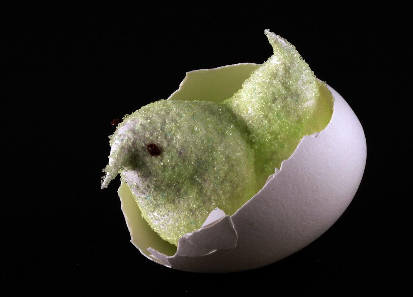 'Peep' in eggshell