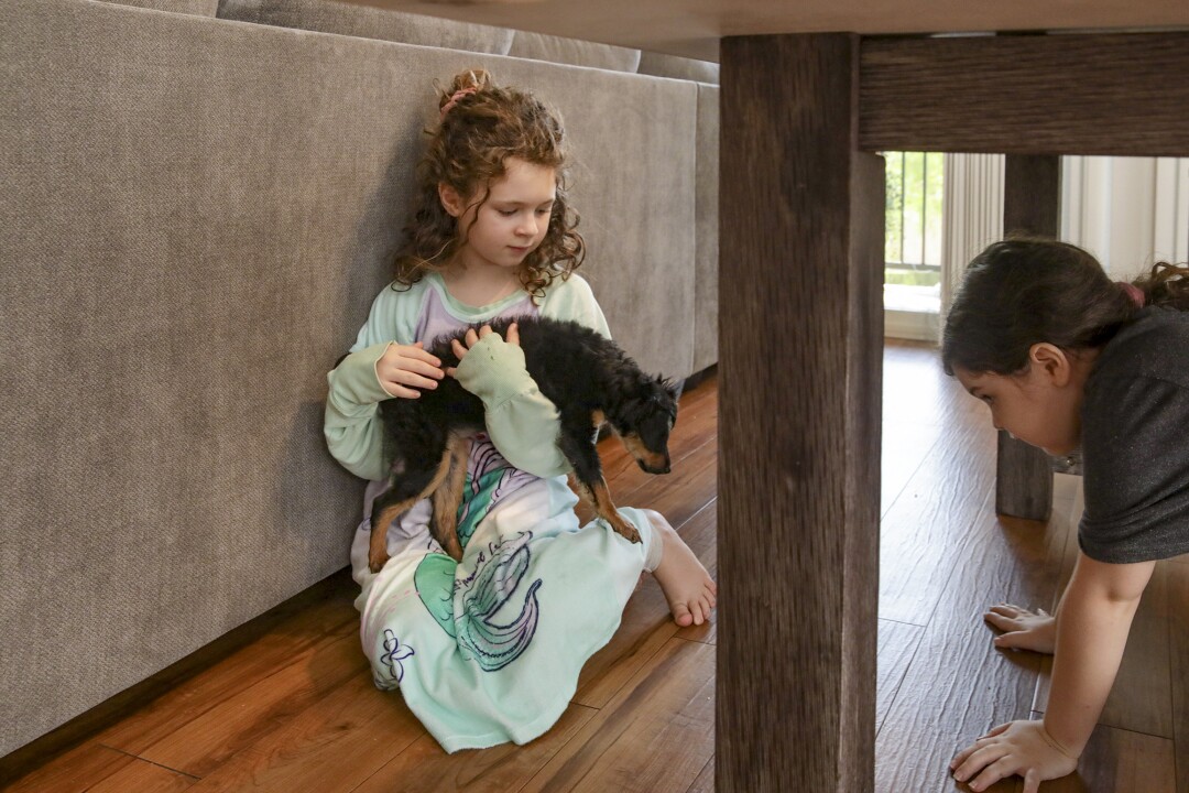 Surge of families seeking remote learning overwhelms L.A.
public schools 4 Twins Madelynn Singer, left, and Savannah Singer play with support dog Zoey during recess.