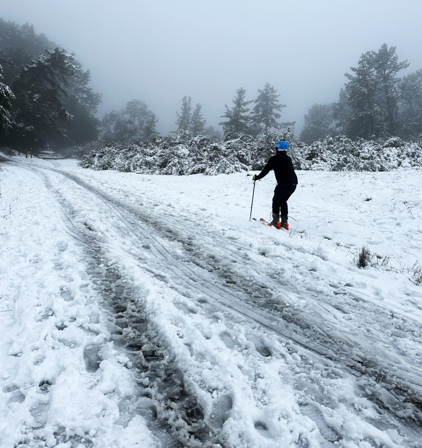 Berkeley goes skiing: Bay Area residents revel in rare low-elevation snow