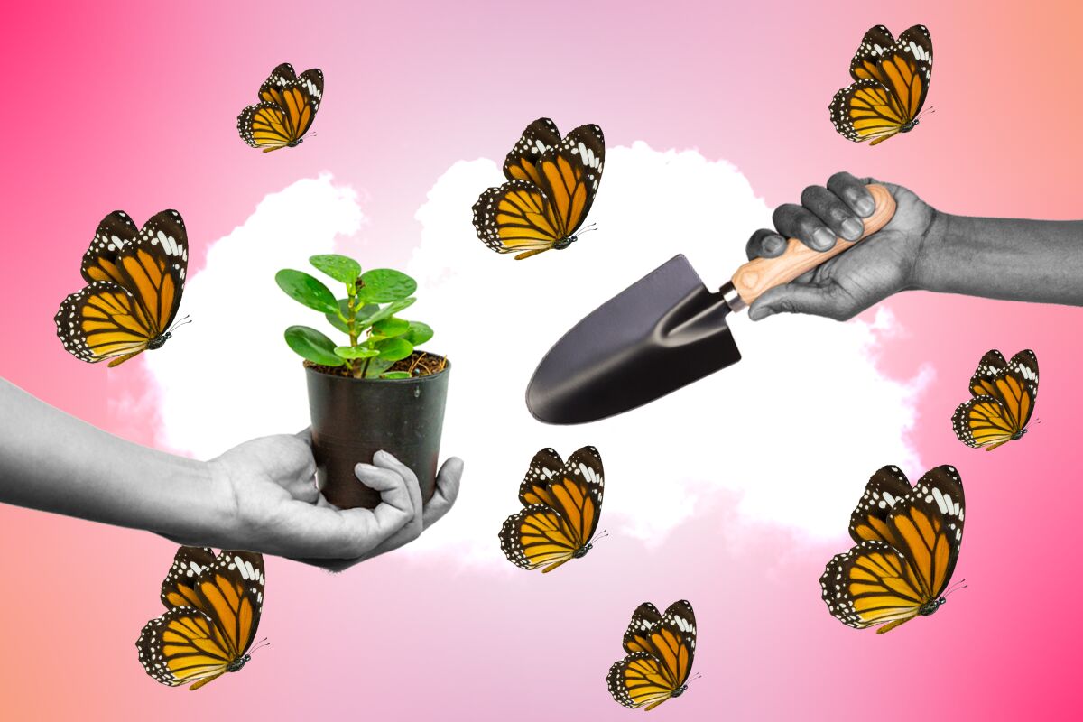 Butterflies and gardening tools being held against a pink background
