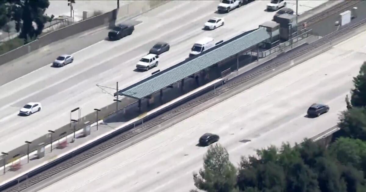 Attack at Metro station where woman was dragged onto freeway leads to attempted murder charge