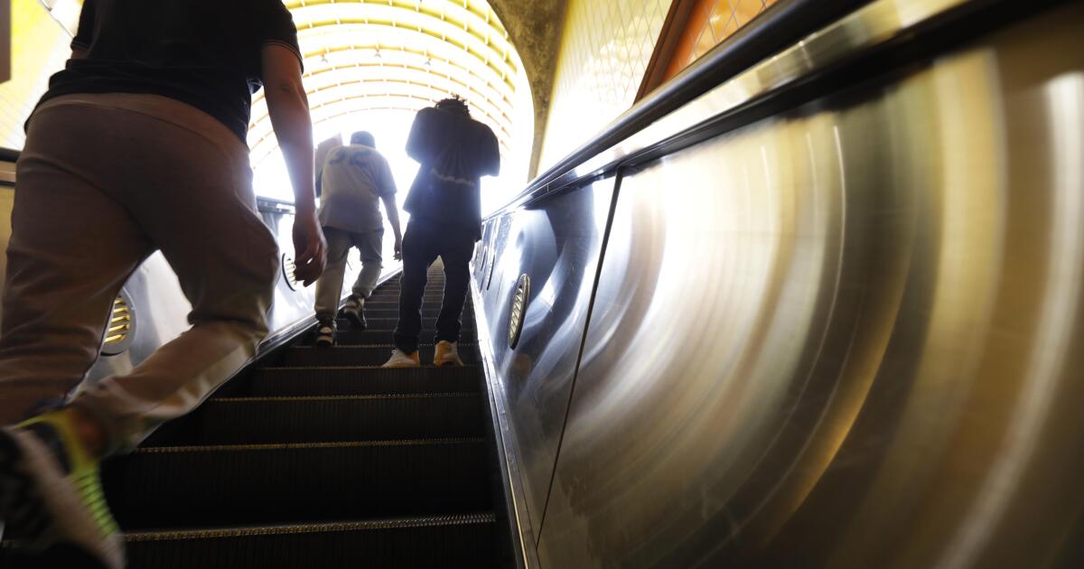 Man charged with murder of woman on Los Angeles subway linked to previous violence Man charged with murder of woman on Los Angeles subway linked to previous violence