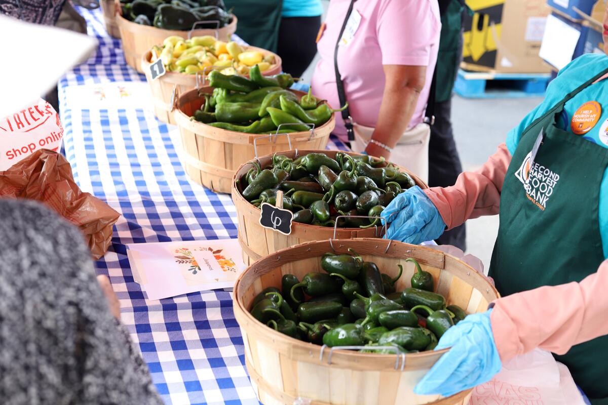 Fresh organic peppers grown at the Second Harvest farm are available as part of the Mobile School Pantry Program.