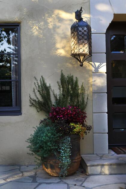 Containers overflowing with rosemary, iresine and parrot's beak extend the planted landscape. Daigre used Moonlight limestone flagstone from Bourget Flagstone Co. in Santa Monica to blend the entry staircase and front patio with the house exterior. The wrought-iron lantern is a custom fixture made by Reborn Antiques in Los Angeles.