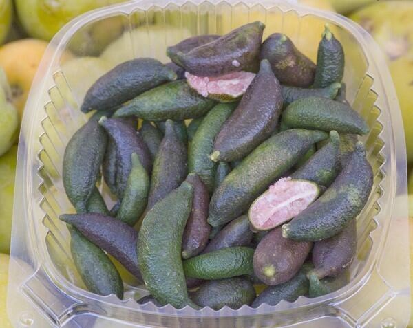 A closer look at finger limes