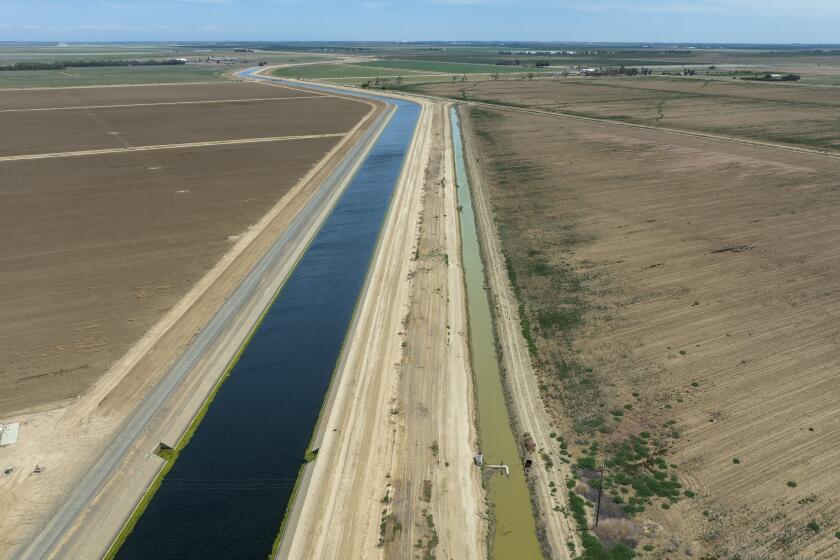 Firebaugh, CA - June 03: The Delta-Mendota Canal, left, and a parallel canal under the Panoche Water District's control, right, on Friday, June 3, 2022 in Firebaugh, CA. In April the U.S. Attorney's office charged the head of the Panoche Water District with stealing 25 million dollars worth of water out of the Delta Mendota Canal exploiting a leak in the canal where he engineered a way to steal water from the federal Central Valley Project. (Brian van der Brug / Los Angeles Times)