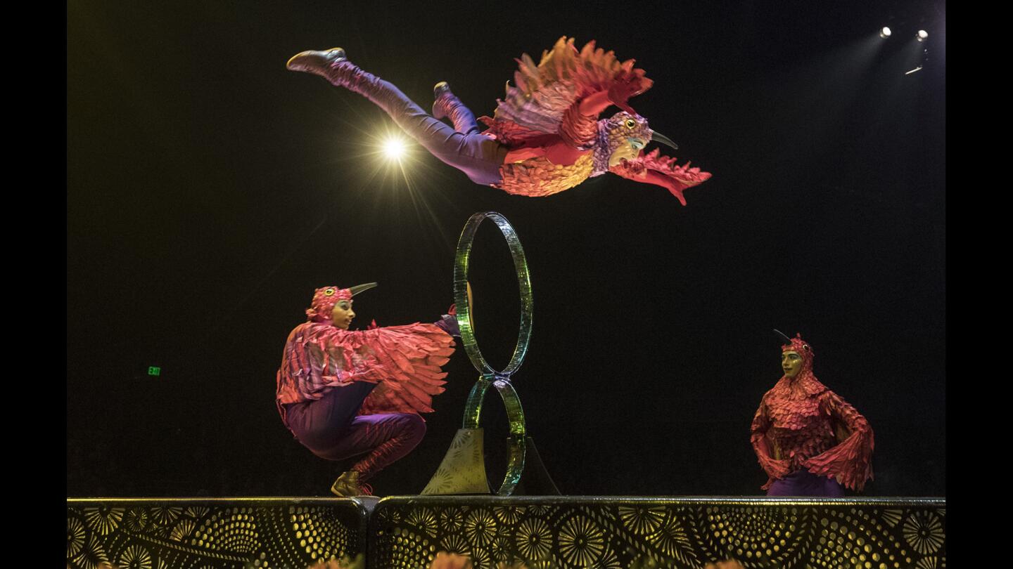 Cirque du Soleil's 'Luzia'