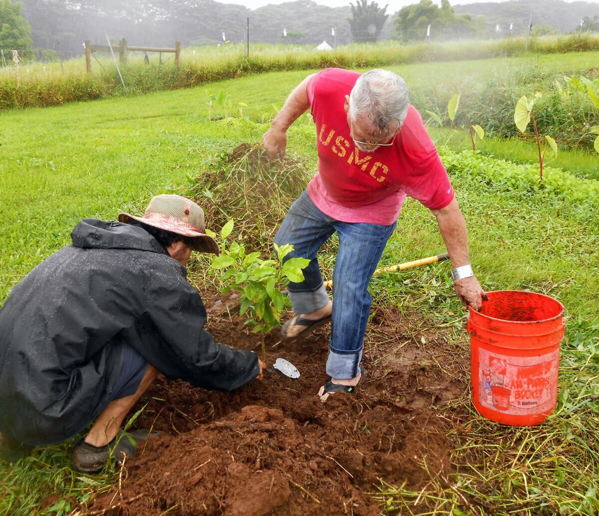 Ethan Hodek, then one of the guides and staff members at the Inn at Kulaniapia Falls, helps one of the vets plant a tree in remembrance of a fallen military comrade.