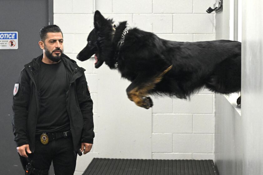 Norwalk, California January 17, 2023-Mike Israeli sells protection dogs for up to $65,000 at Delta K9 Academy in North Hollywood. (Wally Skalij/(Los Angeles Times)