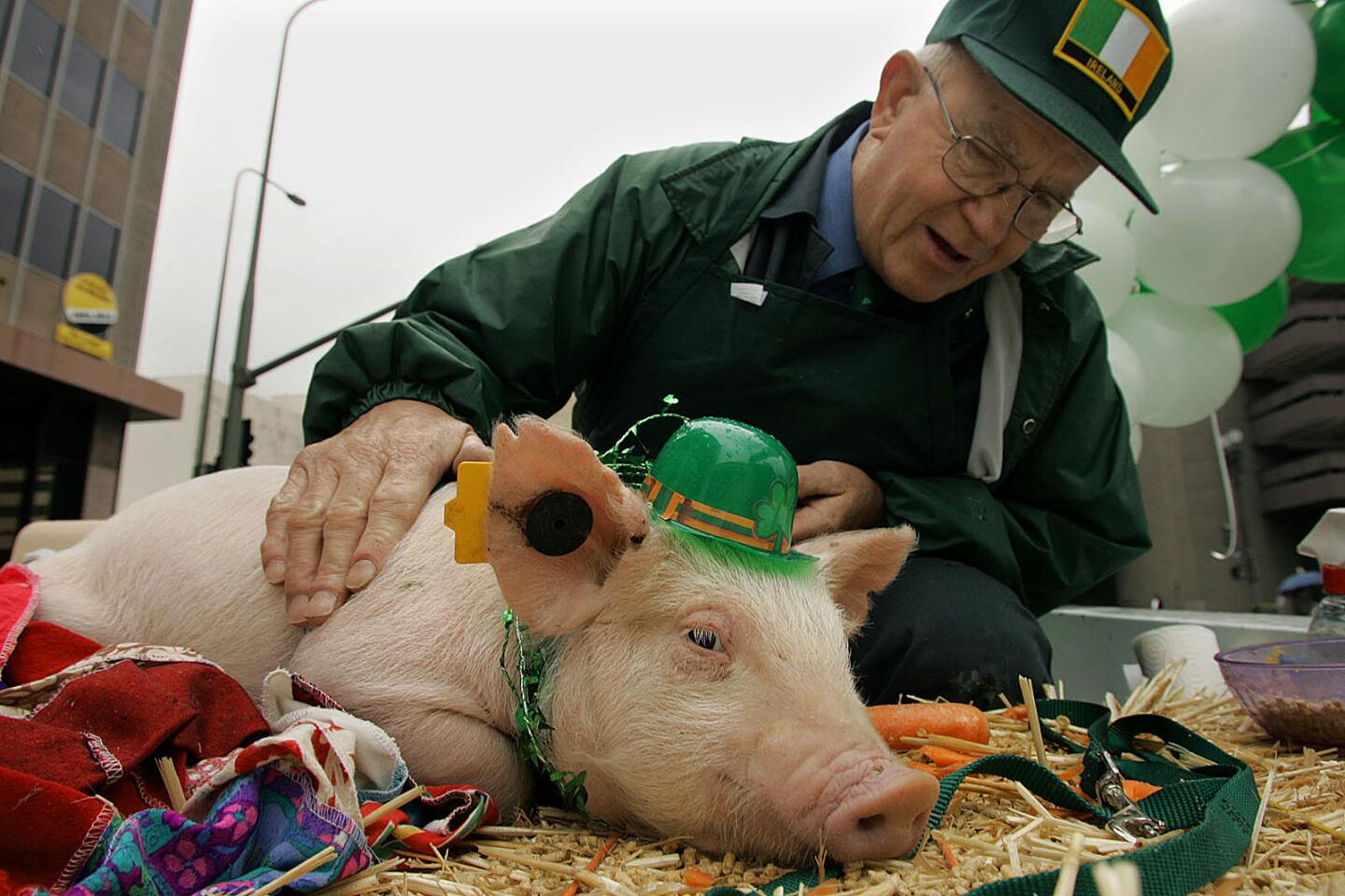 Putting on the green for St. Patrick's Day