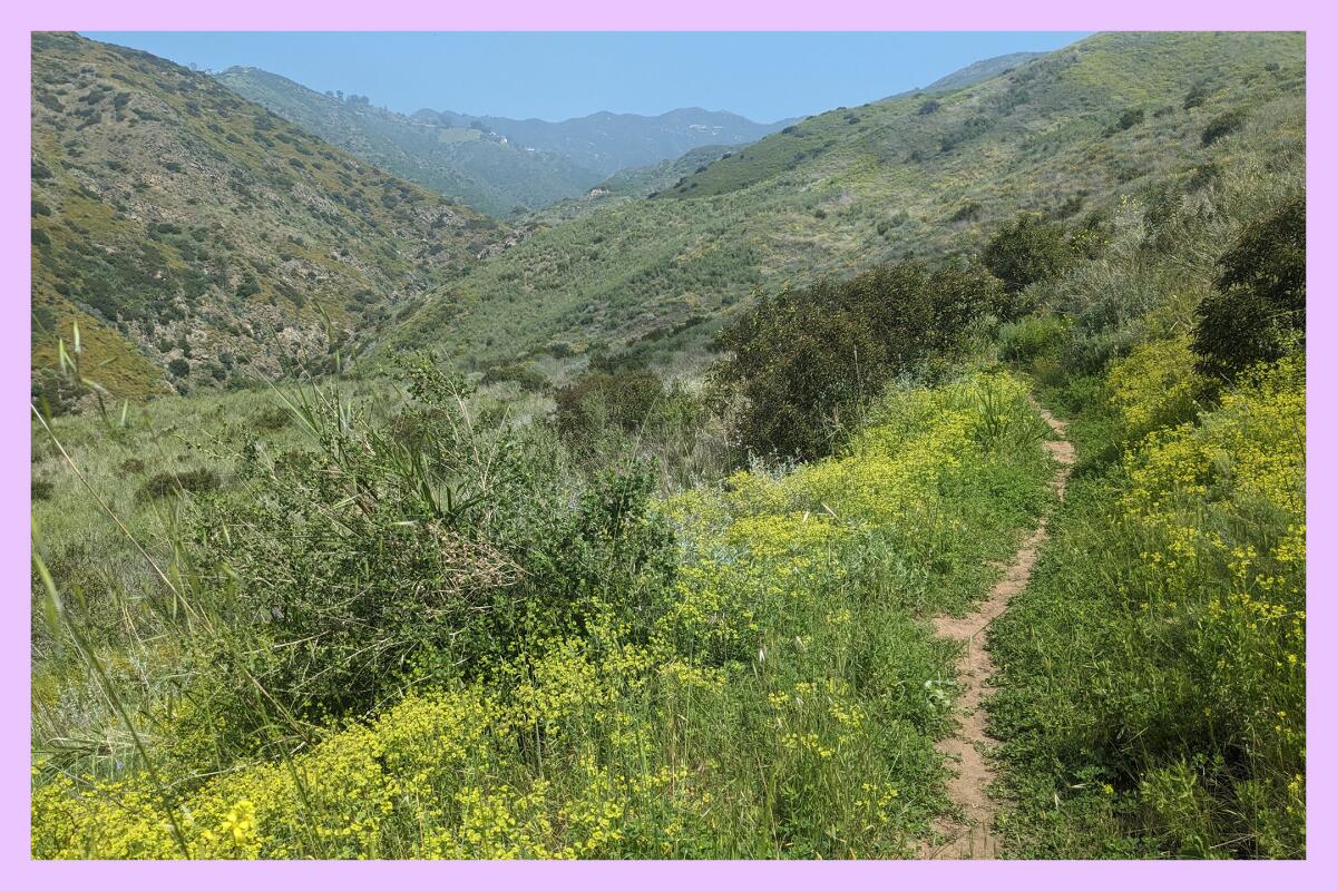 A trail leads to a bright green valley