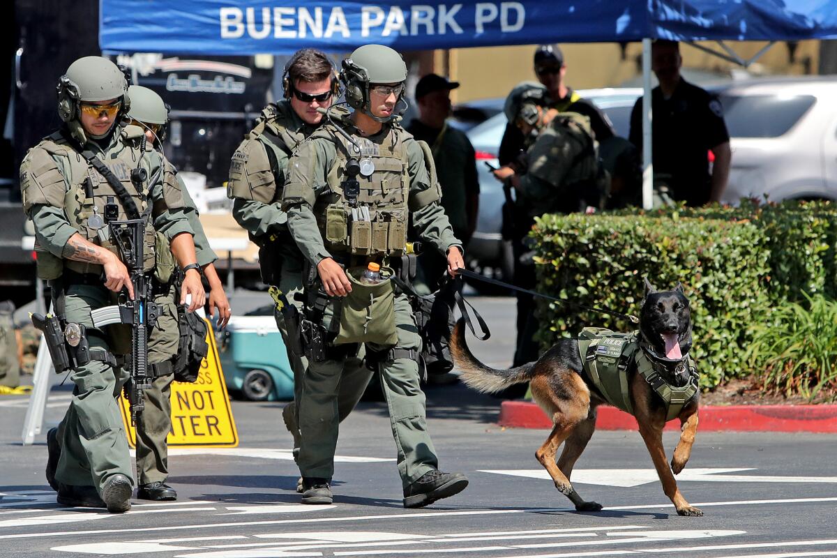 A K-9 police officer participates in a training Thursday with the West County SWAT team at Costa Mesa's South Coast Plaza.