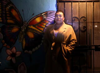 A woman in a brown coat stands near a metal door and a wall painted with a large butterfly