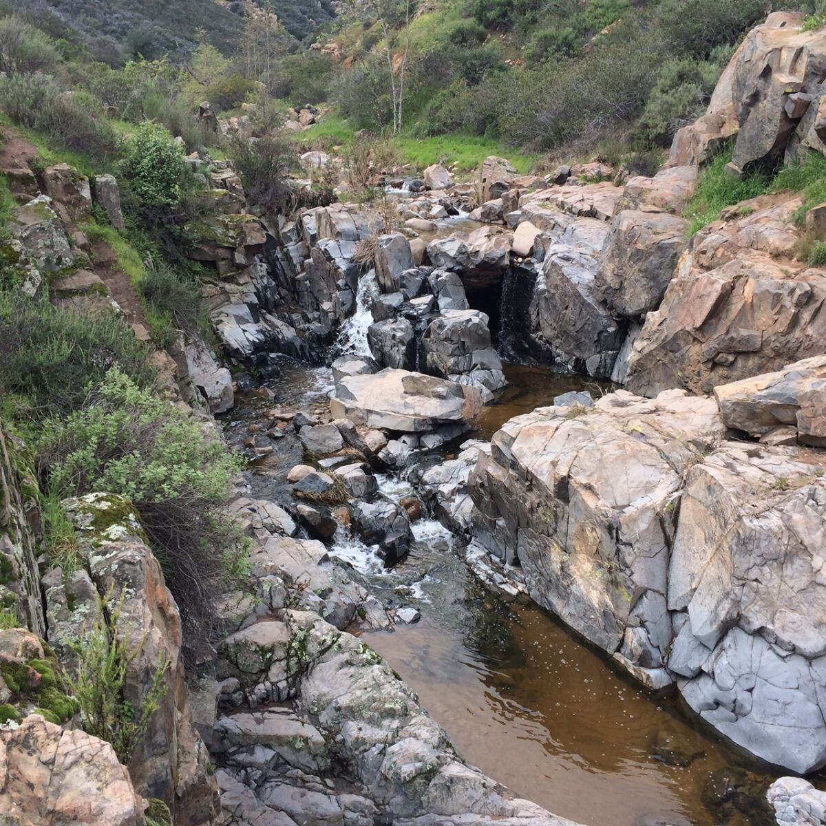 The Los Penasquitos Creek Preserve waterfall.