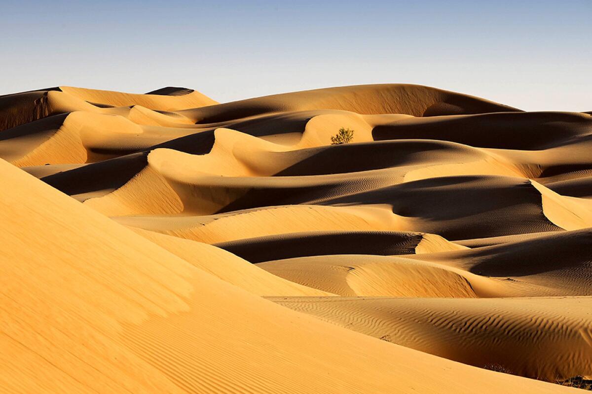 Among the tour highlights is an opportunity to ride a camel through Oman's beautiful Wahiba sand dunes.