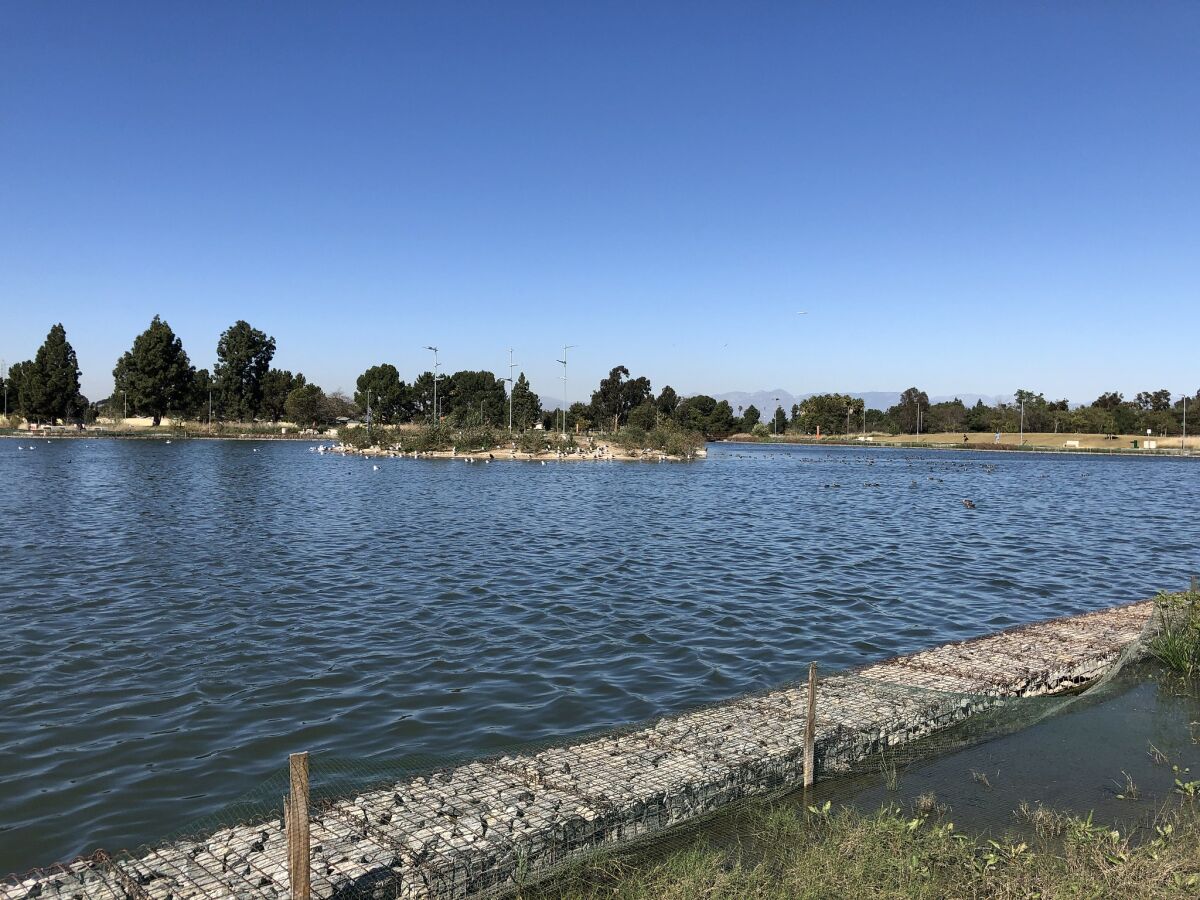 A rocky wall studded with plants sits at the edge of lake with a small island in the distance