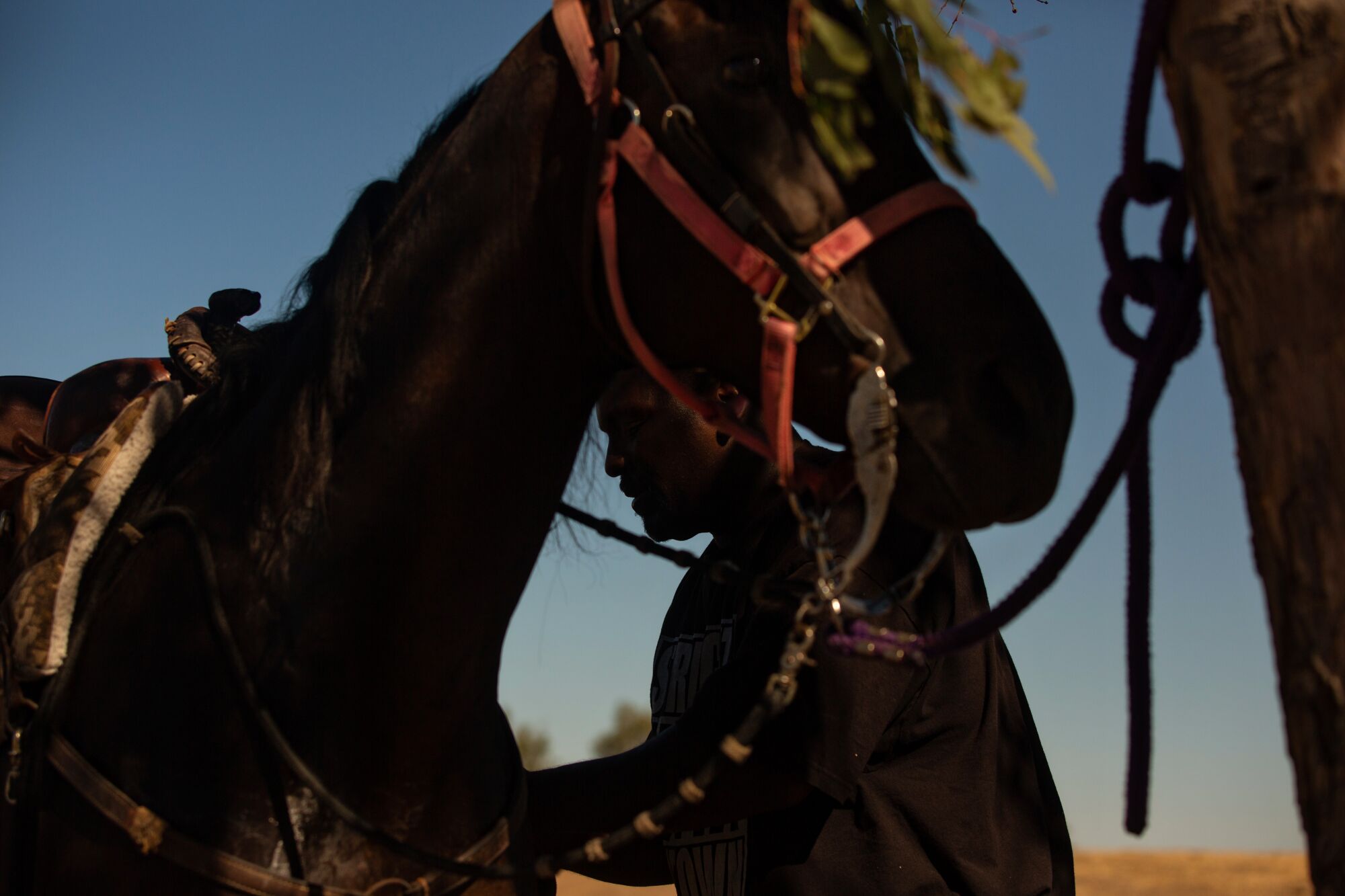 A close shot of a man preparing a horse for a ride