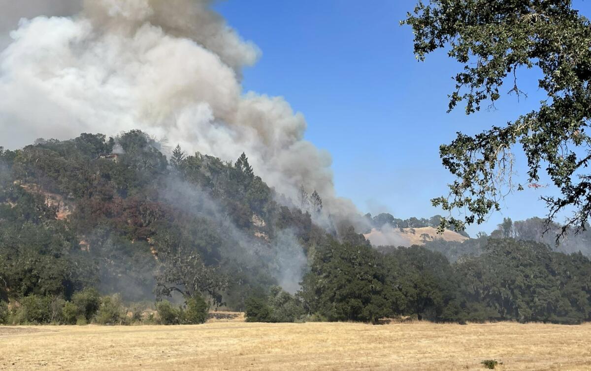 A Shasta County man was arrested in connection with the 36-acre Flora Fire in the North Bay.