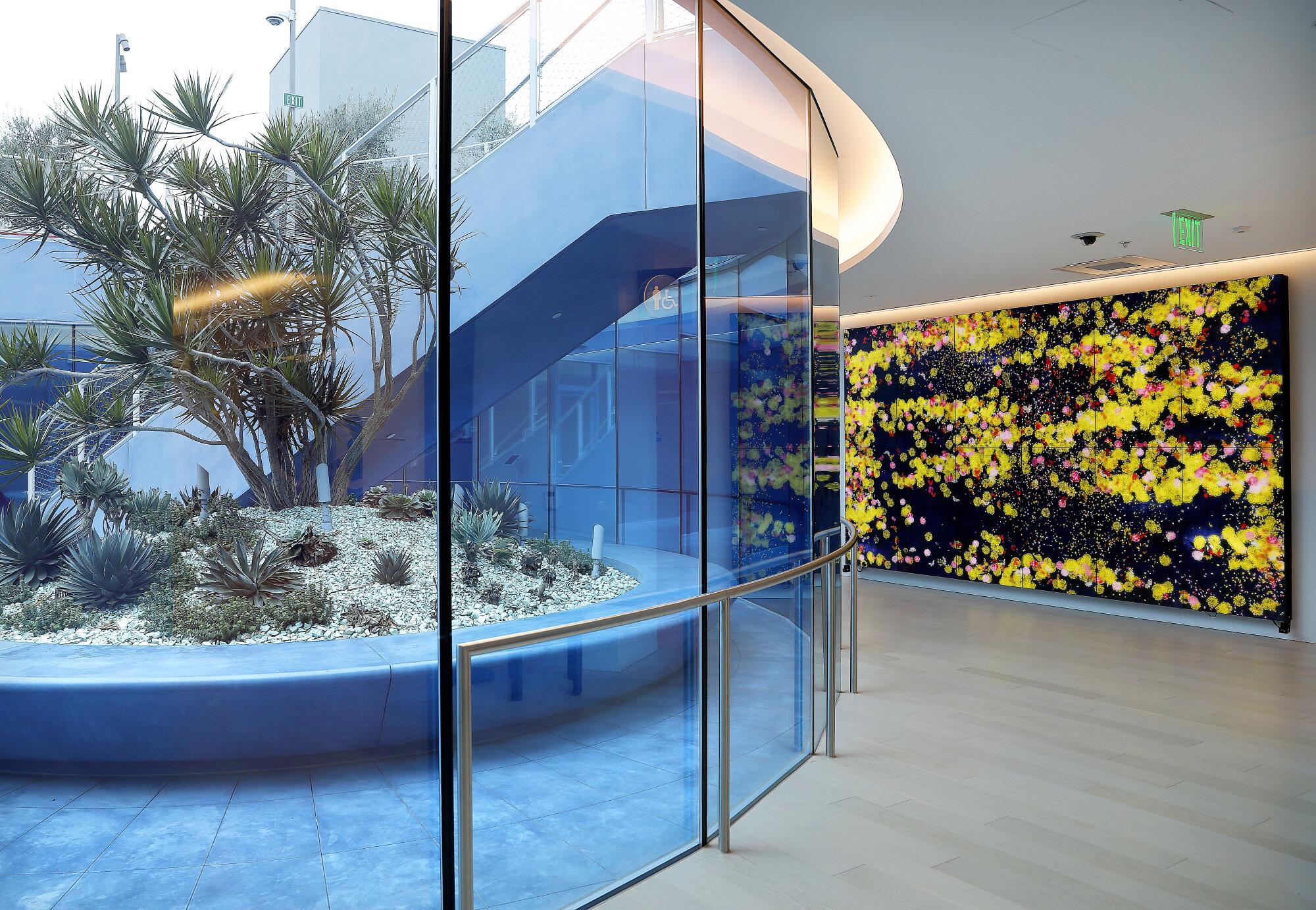 A sunken garden surrounded by concrete glazed a bright shade of blue is seen through a window.