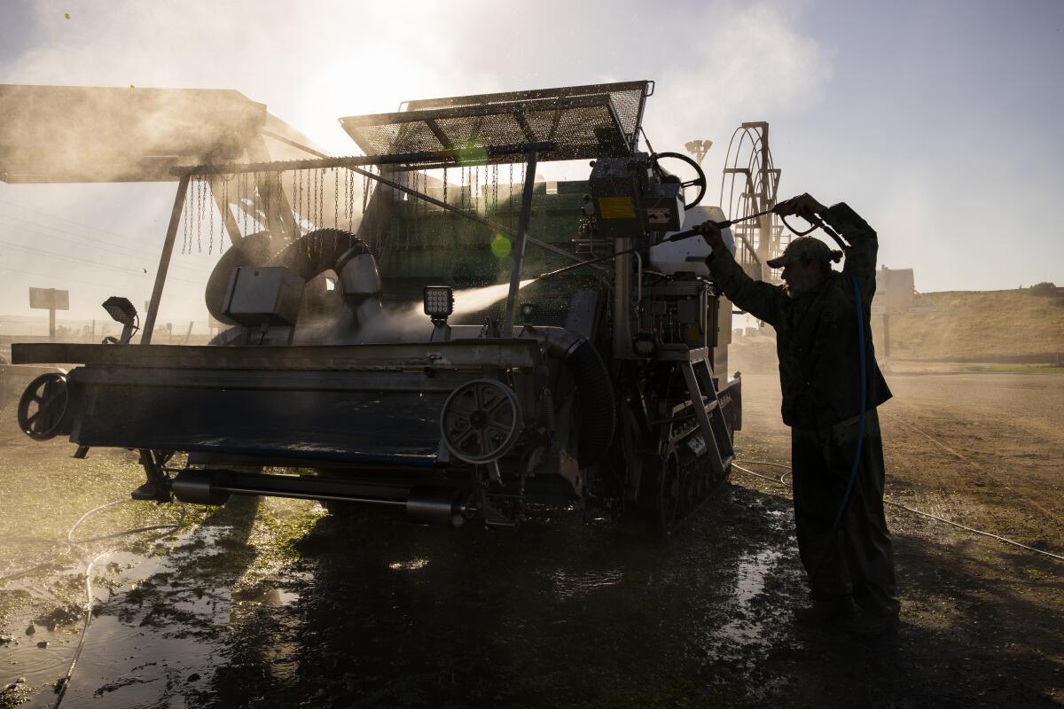 A farm laborer hoses down a harvesting machine