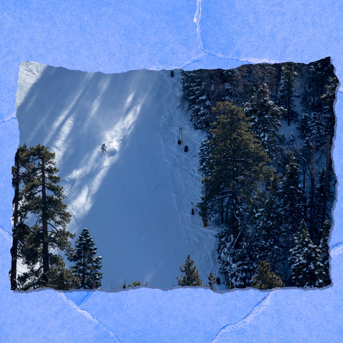 Small figures on a snowy mountainside with tall evergreen trees.