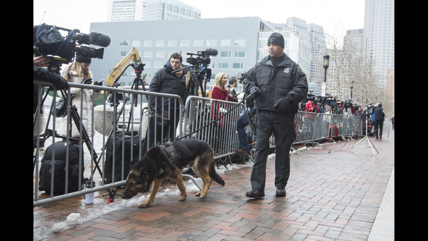 A police dog sniffs near news cameras outside of the entrance to the John Joseph Moakley United States Courthouse during the first day of the Dzhokhar Tsarnaev trial on March 4, 2015 in Boston.