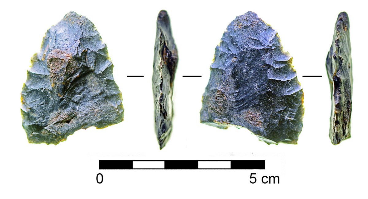 The discovery of this biface stone tool and other stone artifacts in 14,500-year-old sediments in the Aucilla river suggests humans were living in the southeastern United States 1,500 years earlier than previously thought. (Texas A&M University Center for the Study of the First Americans)