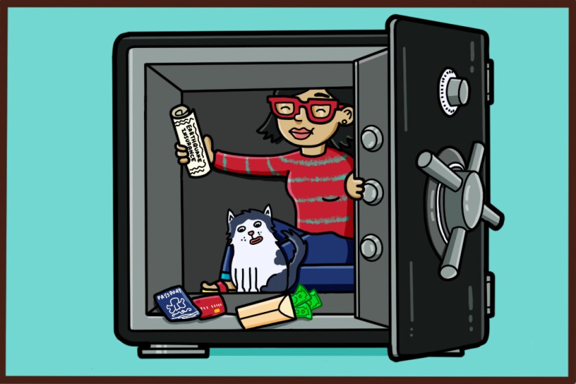 Illustration shows a woman and a cat in a safe with cash and important documents