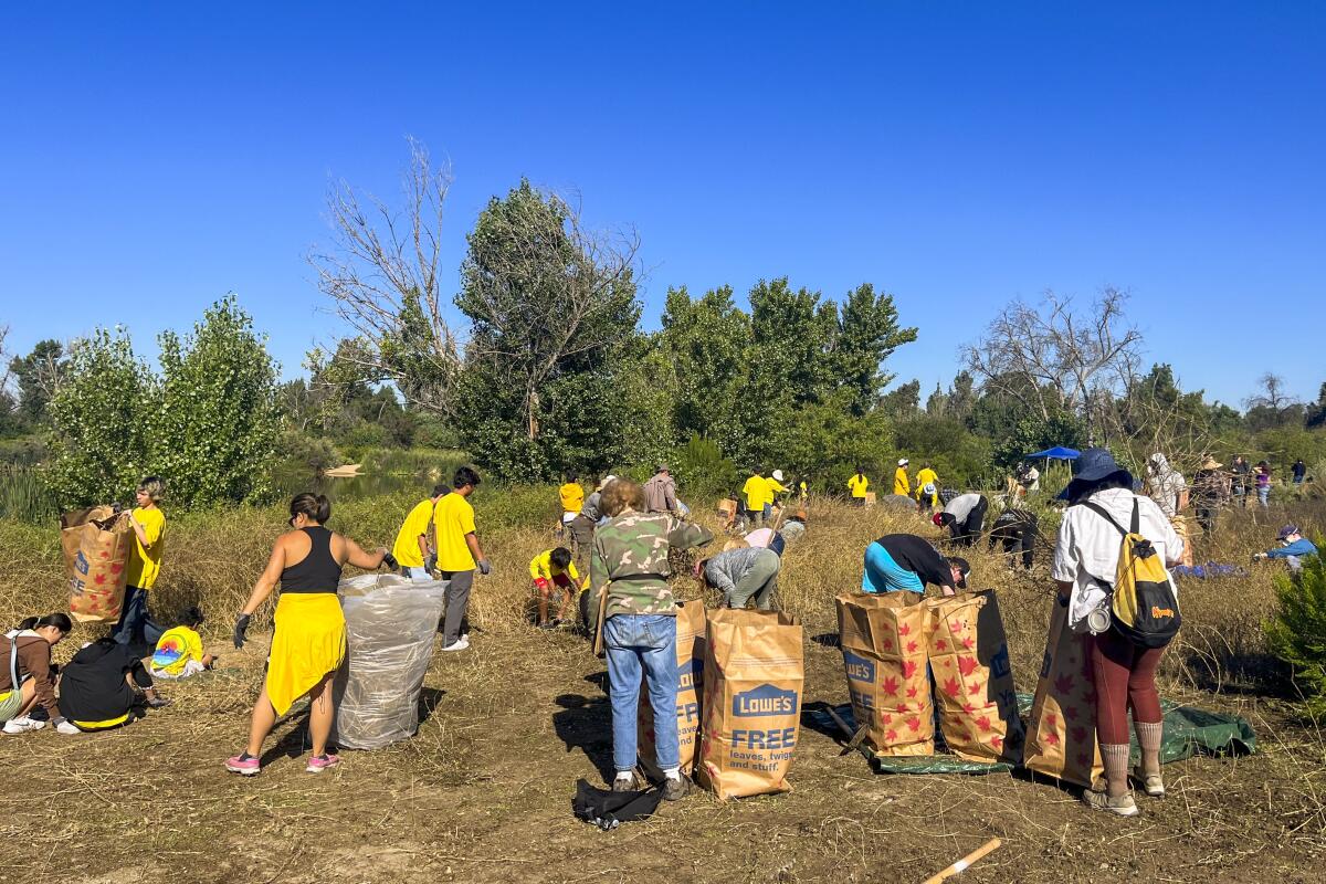 A group of people in yellow shirts work on a landscaping project in a field. 