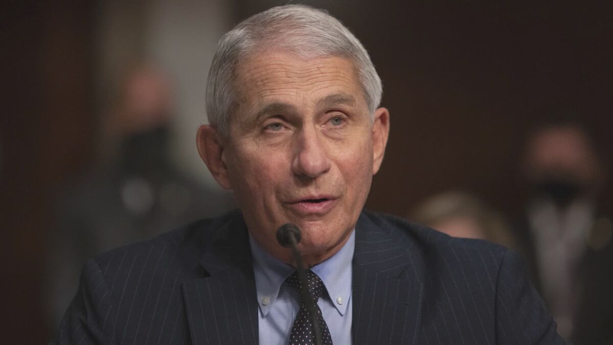 Dr. Anthony Fauci will be honored at the National Conflict Resolution Center's Peacemaker Awards online Saturday, May 15.