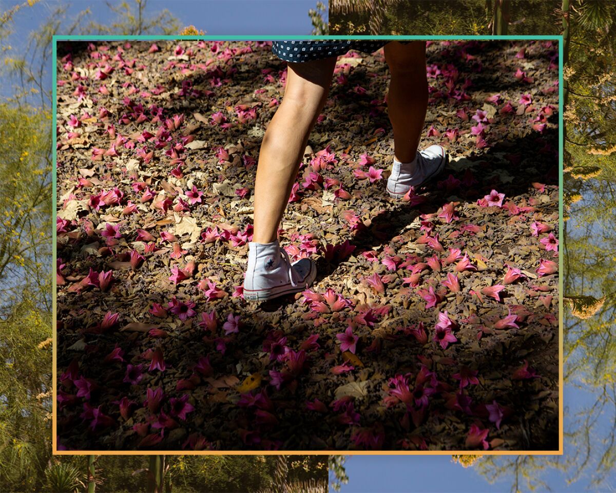 The Taft Gardens & Nature Preserve near Ojai