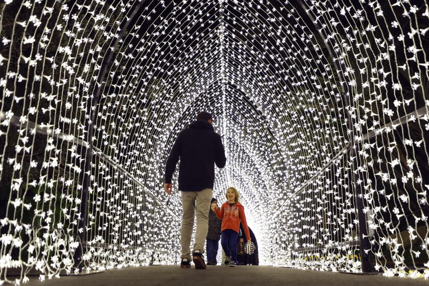 Encinitas, CA - NOVEMBER 16: Guests walk through the Winter Cathedral at Lightscape, a one-mile walking path lined with more than 1 million lights and light sculptures at the San Diego Botanic Garden on Wednesday, November 16, 2022. (K.C. Alfred / The San Diego Union-Tribune)