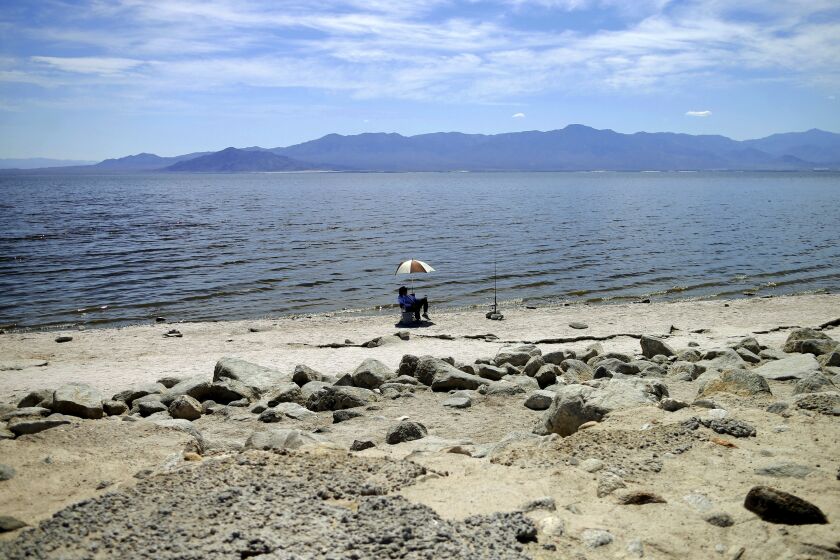 FILE - In this April 30, 2015, file photo, a man fishes for tilapia along the receding banks of the Salton Sea near Bombay Beach, Calif. Two major California water agencies have settled a lawsuit that once threatened to derail a multi-state agreement to protect a river that serves millions of people in the U.S. West. The agencies announced Monday, Sept. 20, 2021, they have reached a settlement that resolves both lawsuits. (AP Photo/Gregory Bull, File)